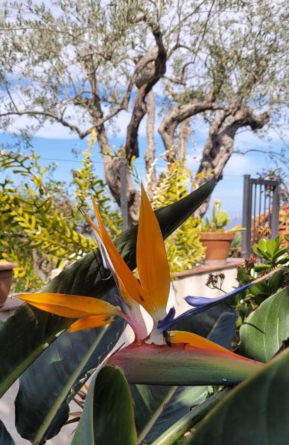 Bed and Breakfast Timpabella House Acireale Esterno foto