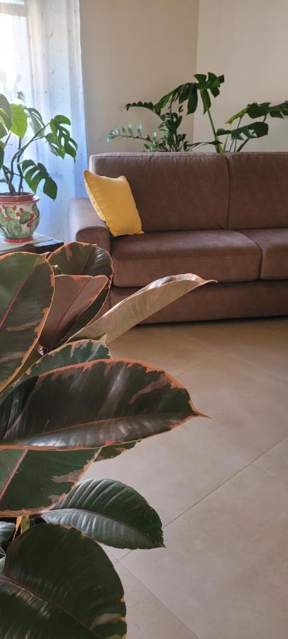 Bed and Breakfast Timpabella House Acireale Esterno foto