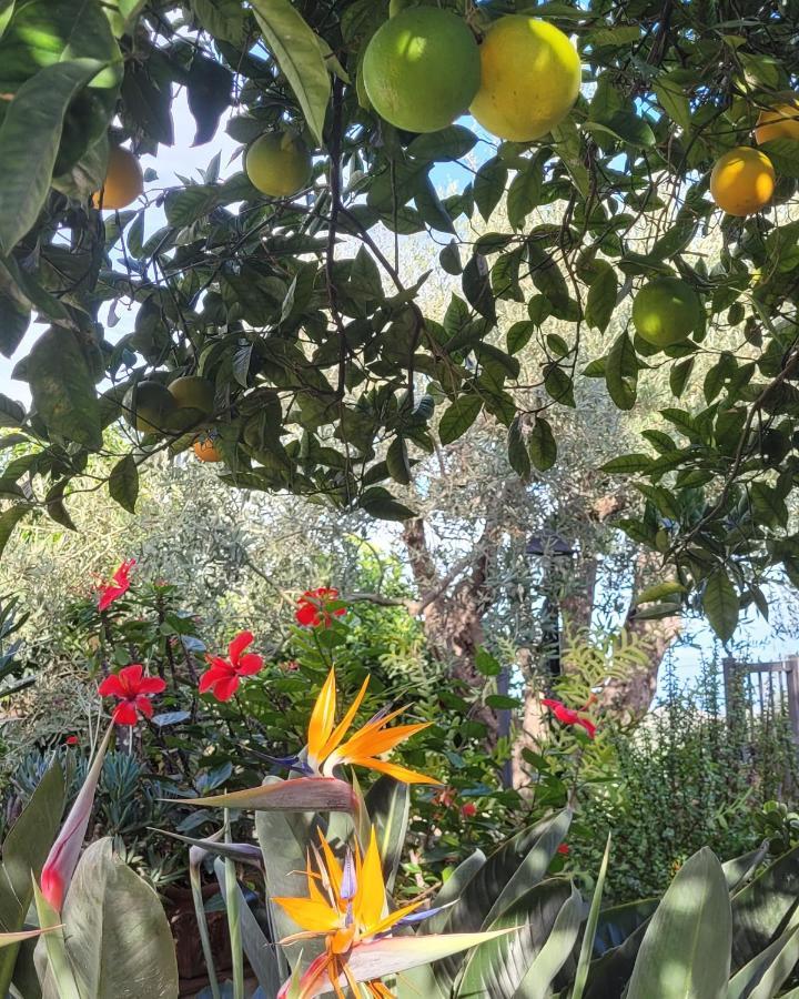 Bed and Breakfast Timpabella House Acireale Esterno foto