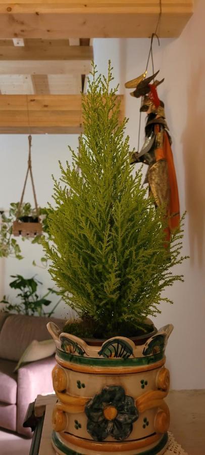 Bed and Breakfast Timpabella House Acireale Esterno foto
